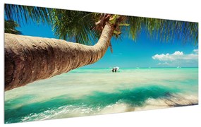 Tablou cu marea curată cu palmier (120x50 cm), în 40 de alte dimensiuni noi
