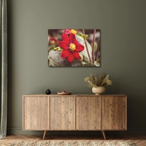 Tablou cu floare (70x50 cm)