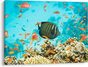 Tablou lumii submarine (70x50 cm)