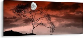 Tablou - Luna luminează noaptea (120x50 cm)