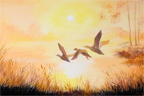 Tablou - Macarale la apus de soare (90x60 cm)