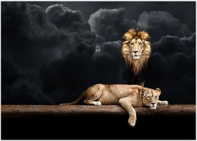 Tablou - Leu și leoaică (70x50 cm)