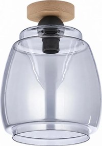 BRILAGI - LED plafonieră R GLASS 1xE27/60W/230V Ø 26 cm stejar/gri fumuriu