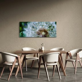 Tabloul cu păpădie desflorit (120x50 cm)