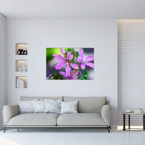 Tablou cu floarea detailat (90x60 cm)