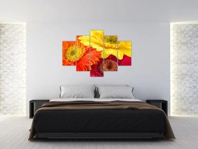 Tablou - Flori Gerbery (150x105 cm)