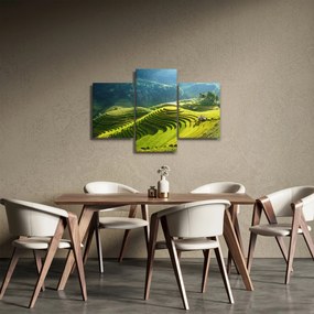 Tablou - Concert Terase de orez (90x60 cm)
