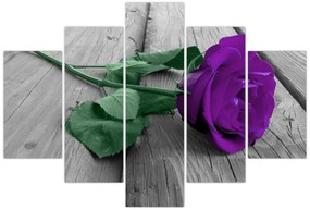 Tablou - Trandafir violet cu tulpina verde (150x105 cm)