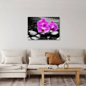 Tablou - Orhidee violet (70x50 cm)