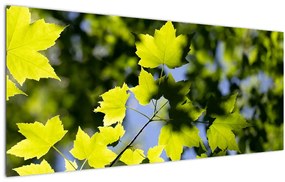Tablou - frunze de arțar (120x50 cm), în 40 de alte dimensiuni noi