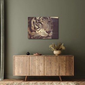 Tablou cu tigrul (70x50 cm)