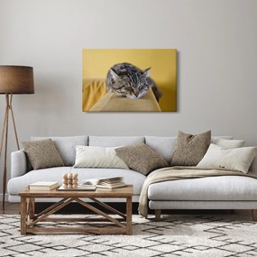 Tablou cu pisica pe fotoliu (90x60 cm)