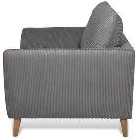 Fotoliu gri închis cu tapițerie din catifea reiată Paris – Scandic