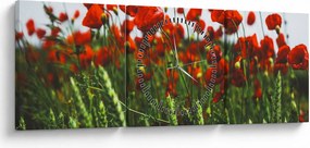 Tablou - Maci în vânt (cu ceas) (90x30 cm)