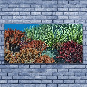 Tablou pe panza canvas Coral Reef Natura Multi