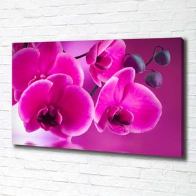 Imprimare tablou canvas Orhidee