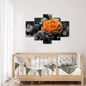 Tablou cu floare (150x105 cm)