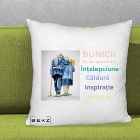 Cadou pentru Bunici - Perna Personalizata Bunicii Sursa Intelepciune Caldura Acuarela, 40x40 cm, Alb Pufos, Husa Detasabila, Perna Inclusa, BEKZ®