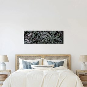 Tablou - Plante înghețate (cu ceas) (90x30 cm)