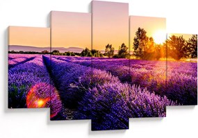 Tablou cu câmp de lavanda (150x105 cm)
