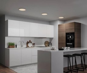 Plafoniera LED design silm Oja 29 alb 3000-4000K 2015016101 NL