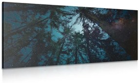 Tablou pădure sub cerul de noapte