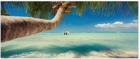 Tablou - Mare curată cu palmier (120x50 cm)