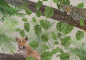 Fototapet - Leoparzi care se odihnesc (147x102 cm)