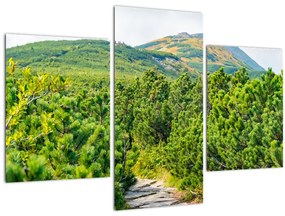 Tablou - Babi Hora, Polonia (90x60 cm)