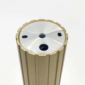 Brilagi - Spot CRISPINA 1xGU10/10W/230V, 20 cm, auriu