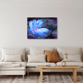 Tablou pe sticlă florilor în detailu (70x50 cm)