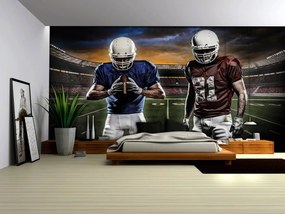 Fototapet - Stadionul american de fotbal (254x184 cm)