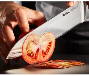 Tefal PRECISION — Set de 3 cuțite de bucătărie