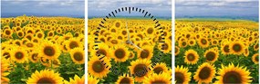 Tablou cu lan de floarea soarelui (cu ceas) (90x30 cm)