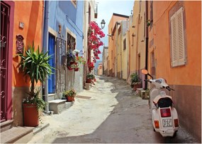 Tablou cu strada din Sardinia (70x50 cm)