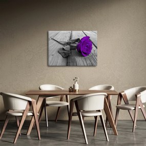 Tablou - Trandafir violet cu tulpina verde (70x50 cm)