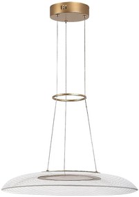 Lustra LED suspendata din metal auriu Zofrael D-50cm