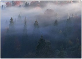 Tablou - Pădure în ceță, Carpați, Ucraina (70x50 cm)