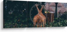 Tablou cu două girafe (cu ceas) (90x30 cm)