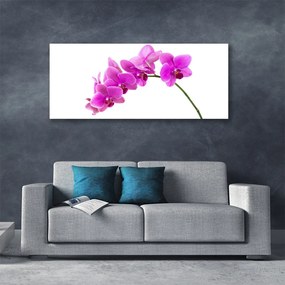 Tablou pe panza canvas Flori roz Floral