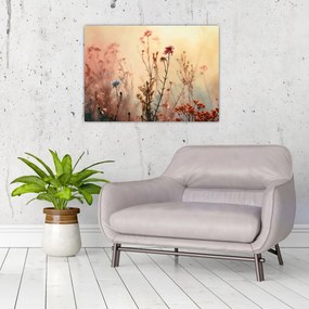 Tablou pe sticlă - Flori sălbatice (70x50 cm)