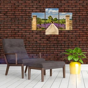 Tablou - Căi de lavandă (90x60 cm)