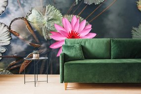 Fototapet floare de lotus încântătoare