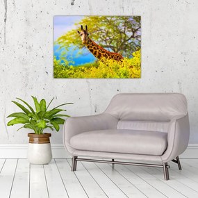 Tablou pe sticlă - Girafa în Africa (70x50 cm)