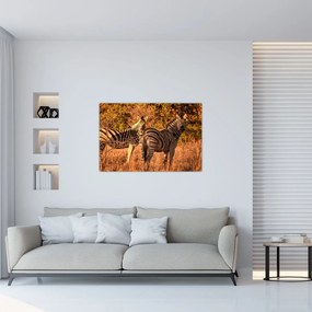 Tablou cu zebre (90x60 cm)