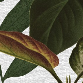 Fototapet, Mischievous Jungle, White, Rebel Walls