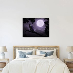Tablou pe sticlă - Bufniță de noapte, violet (70x50 cm)