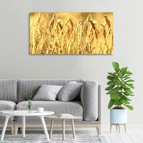 Tablou pe pânză canvas Cereale