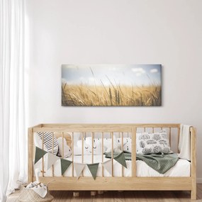 Tablou cu grâne (120x50 cm)