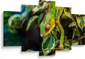 Tablou cu cameleon (150x105 cm)